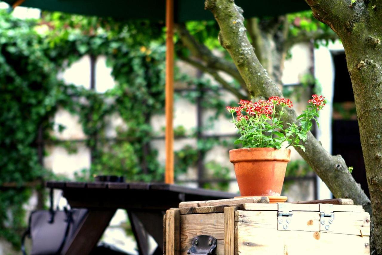 Hostel Havana Чешки Крумлов Екстериор снимка