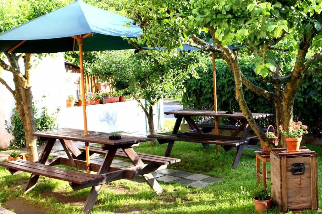 Hostel Havana Чешки Крумлов Екстериор снимка